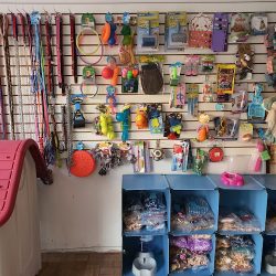 Clínica Veterinaria "patitas Y Garritas"