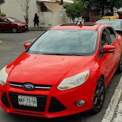 Clinica Veterinaria Pelos+ Pelos-