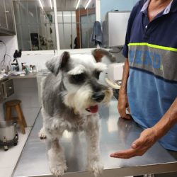 Clinica Veterinaria Pérez Villanueva