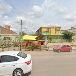 Clinica Veterinaria San Angel