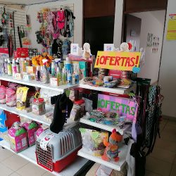 Negocio Clínica Veterinaria San Francisco De Asís