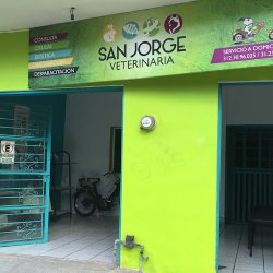 Negocio Clínica Veterinaria San Jorge