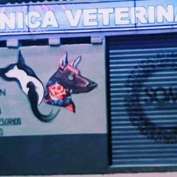 Clinica Veterinaria Soma