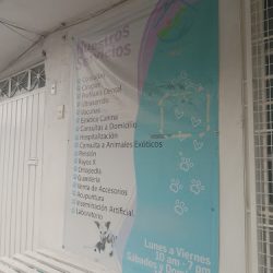 Clínica Veterinaria Willy