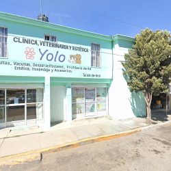 Clínica Veterinaria Yolo