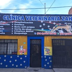 Negocio Clinica Veterinaria Zahir