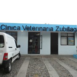 Clinica Veterinaria Zubillaga