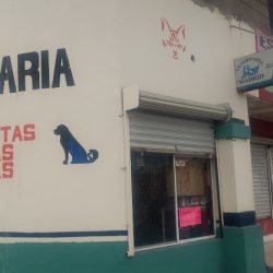 Clínica Y Estética Canina "madrid"