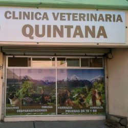 Negocio Clinica Y Farmacia Veterinaria Quintana