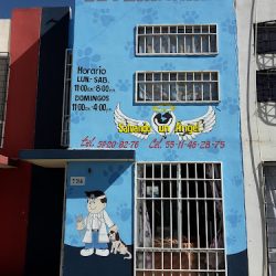 Negocio Clínica Y Laboratorio Veterinario - Salvando Un Angel