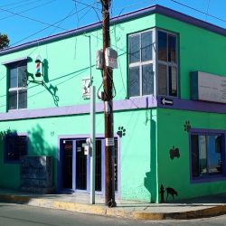 Consultorio Integral Veterinario Luna