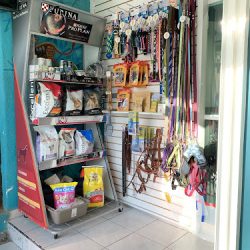 Negocio Consultorio Veterinario Guanajuato