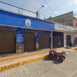 Consultorio Veterinario