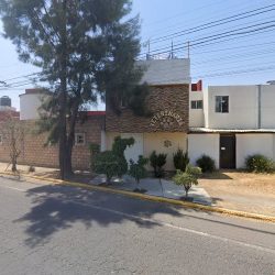 Consultorio Veterinario - Huellitas