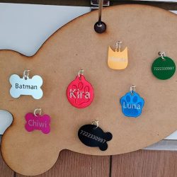 Consultorio Veterinario Mvz Felipe Rojas