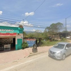 Negocio Consultorio Veterinario Pequeñeces