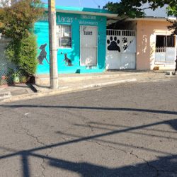 Consultorio Veterinario Pulgas Locas