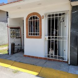 Negocio Cvac Veterinaria