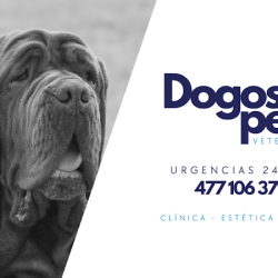Dogos Pets - Clínica Veterinaria
