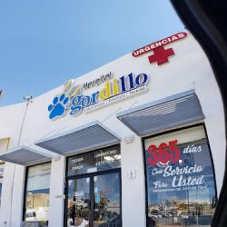 Negocio Dr. Gordillo Hospital Estética & Tienda De Mascotas
