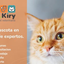 Dr. Kiry Hospital Veterinario