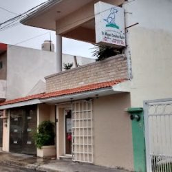 Dr. Miguel Canales Rubio