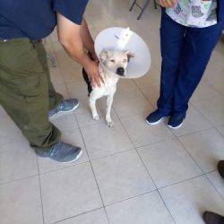 Negocio El Mundo De Los Animales