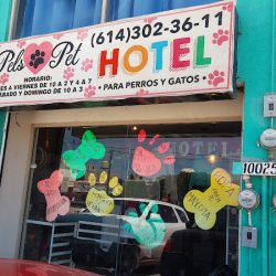 Negocio Estética Canina Pels-pet