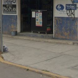 Estetica Canina Veterinaria Acua Vet