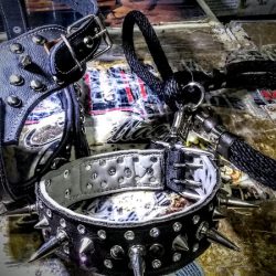 Estética Canina Y Veterinaria Gye