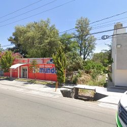 Negocio Estetica Canina Zoo-mundo