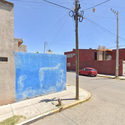 Estetica Veterinaria Perrucho