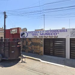 Estética Y Veterinaria El Muñeco