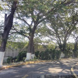 Facultad De Medicina Veterinaria Y Zootecnia