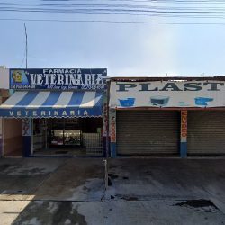 Farmacia Veterinaria