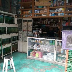 Negocio Farmacia Veterinaria Jardines De Morelos