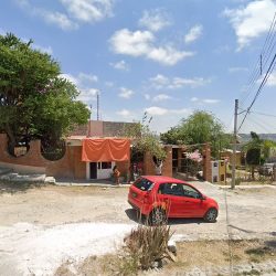 Negocio Forrajera Súper Gallo