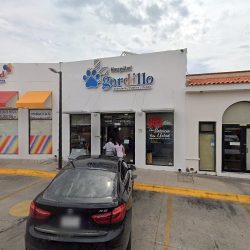 Negocio Gordillo Urgencias