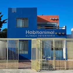 Negocio Habitanimal