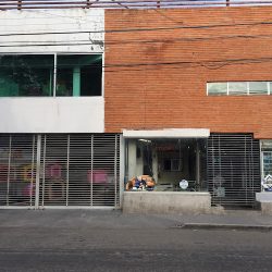 Hospital Ángeles Para Mascotas