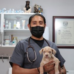 Hospital Central Veterinario De Querétaro