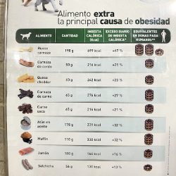 Hospital Central Veterinario