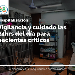 Negocio Hospital Veterinario Can & Cat