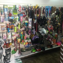 Negocio Hospital Veterinario Can Y Cat