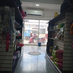 Negocio Hospital Veterinario Can&cats