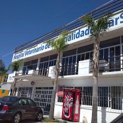 Negocio Hospital Veterinario De Especialidades Garsa Ixtulco