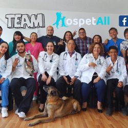 Hospital Veterinario Hospetall 24 Hrs.