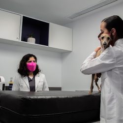 Hospital Veterinario Muno