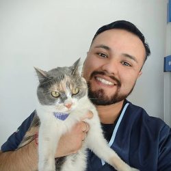 Hospital Veterinario San Rafael
