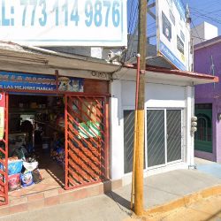 Negocio La Casa De Mascota